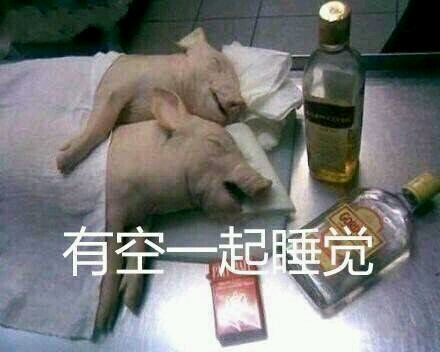 挠头微信恶搞傻屌斗图表情包