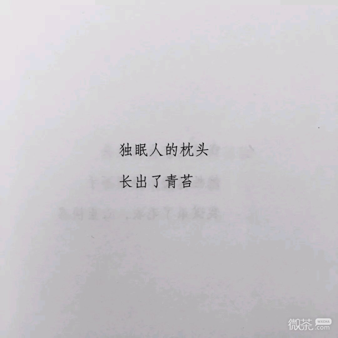 梦幻森系朋友圈配图