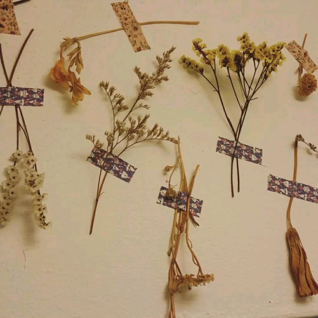 祝你好运微信朋友圈配图