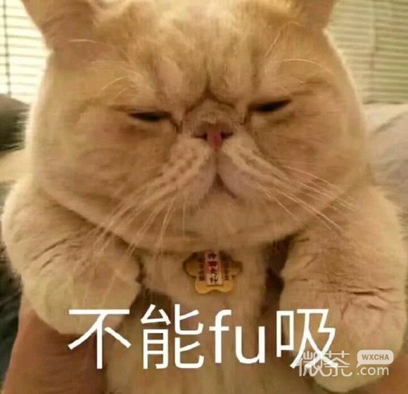 微信近期斗图恶搞表情包2019/10/11