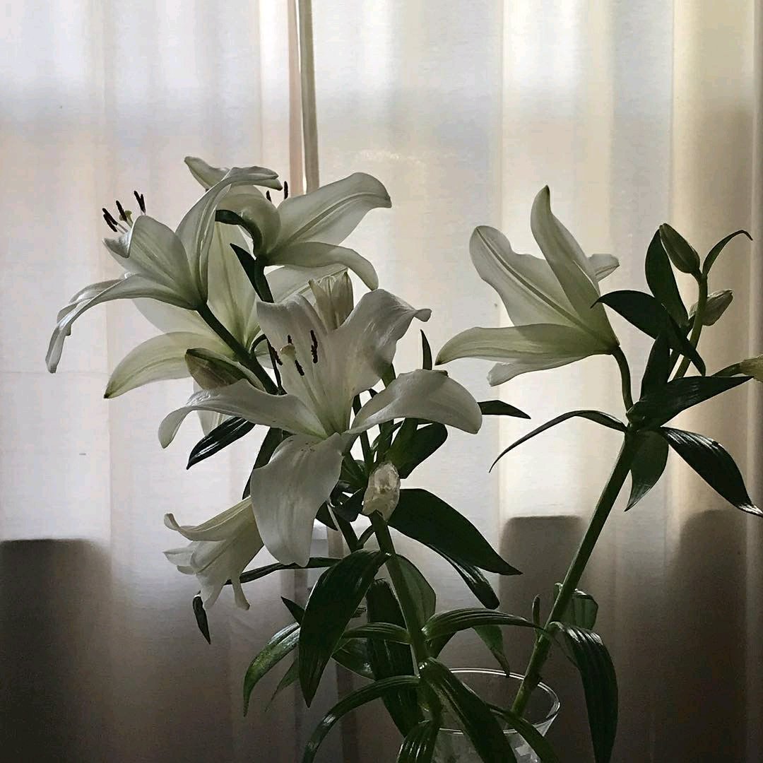 祝你好运微信朋友圈配图