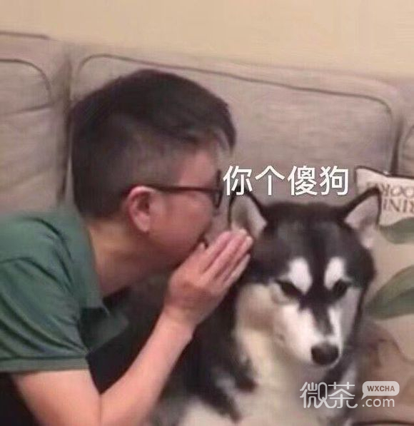 火速赶来微信恶搞沙雕斗图表情包
