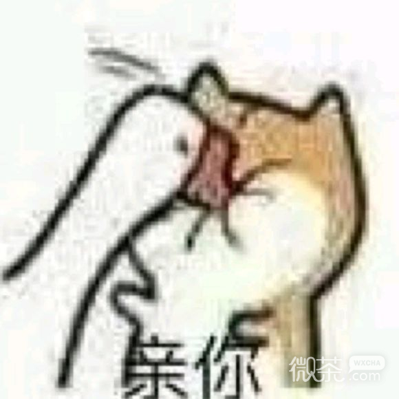 微信近期斗图恶搞表情包2019/10/11