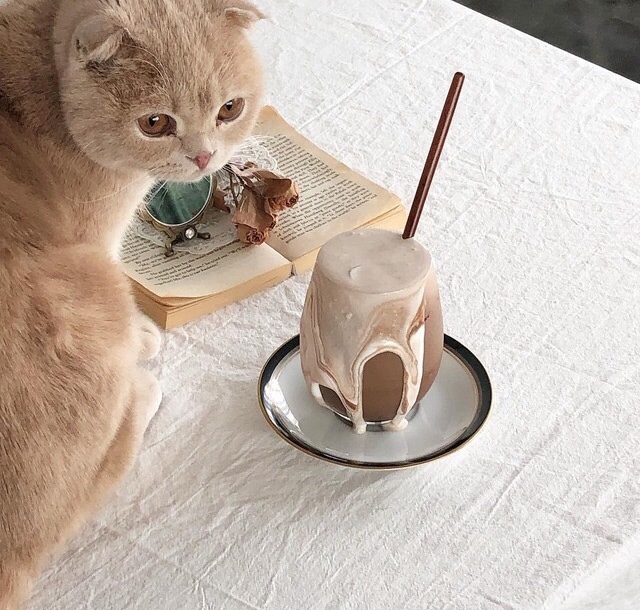 风景静物朋友圈配图