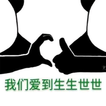 逗比傻屌熊猫头斗图微信表情包