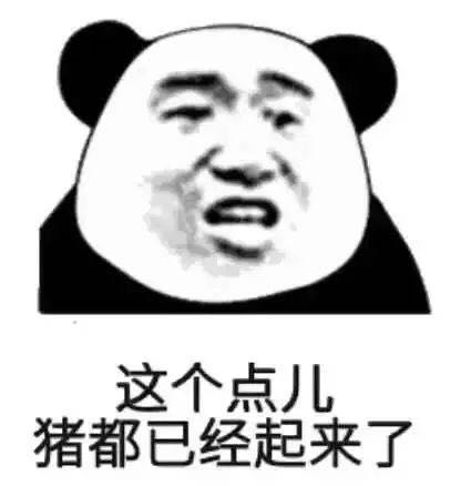 有点怕微信恶搞熊猫头斗图表情包