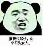 有点怕微信恶搞熊猫头斗图表情包