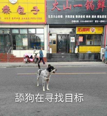 微信近期斗图恶搞表情包2019/10/13（二）