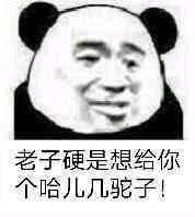 有点怕微信恶搞熊猫头斗图表情包