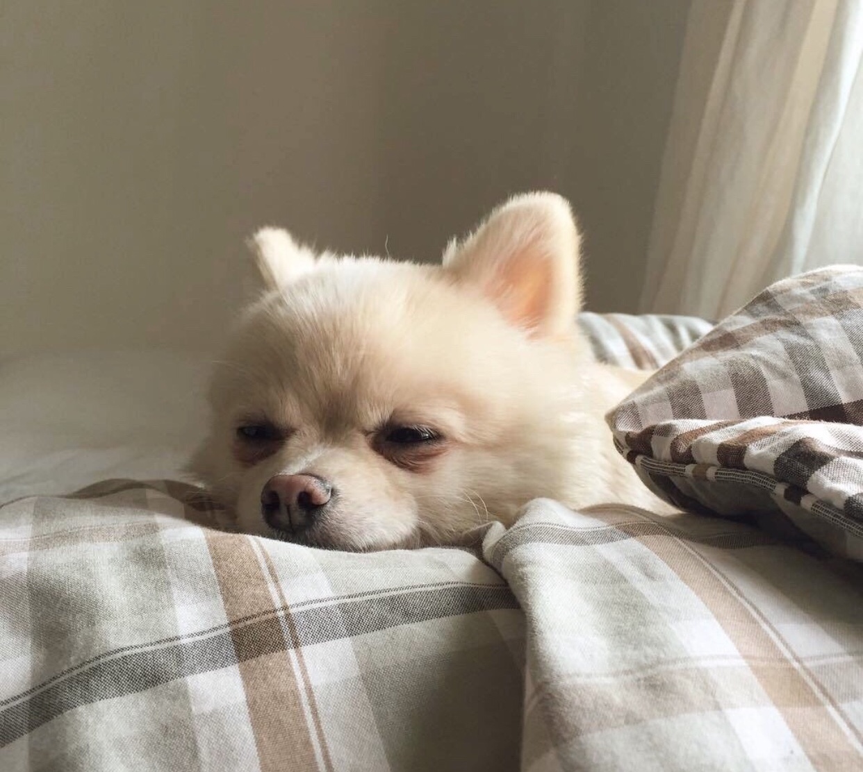 风景静物朋友圈配图