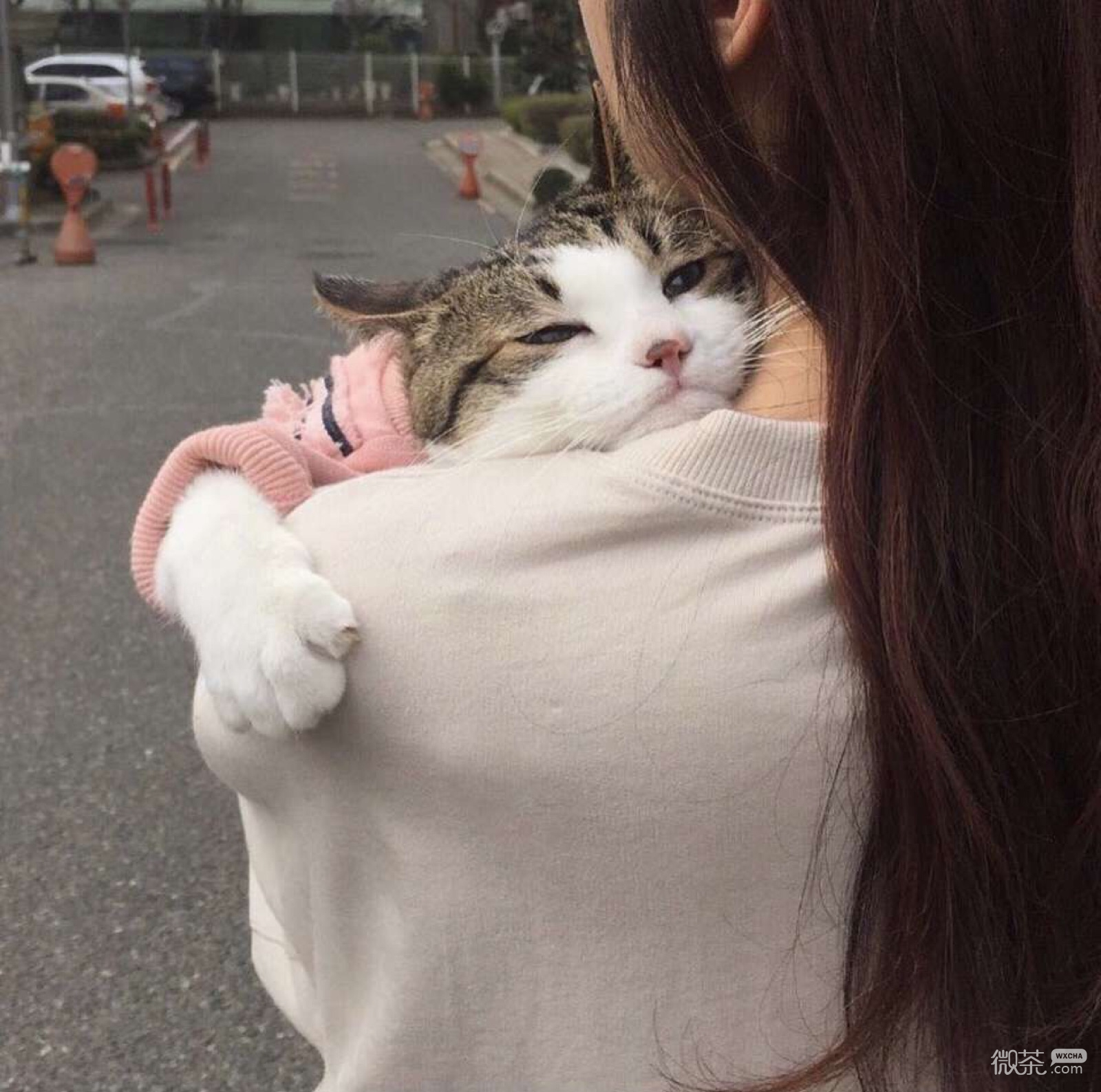 微信潮流霸气御姐长发女头