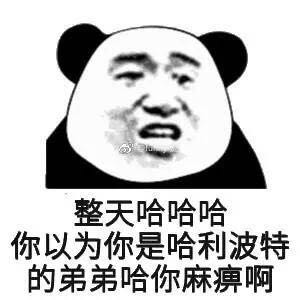 有点怕微信恶搞熊猫头斗图表情包
