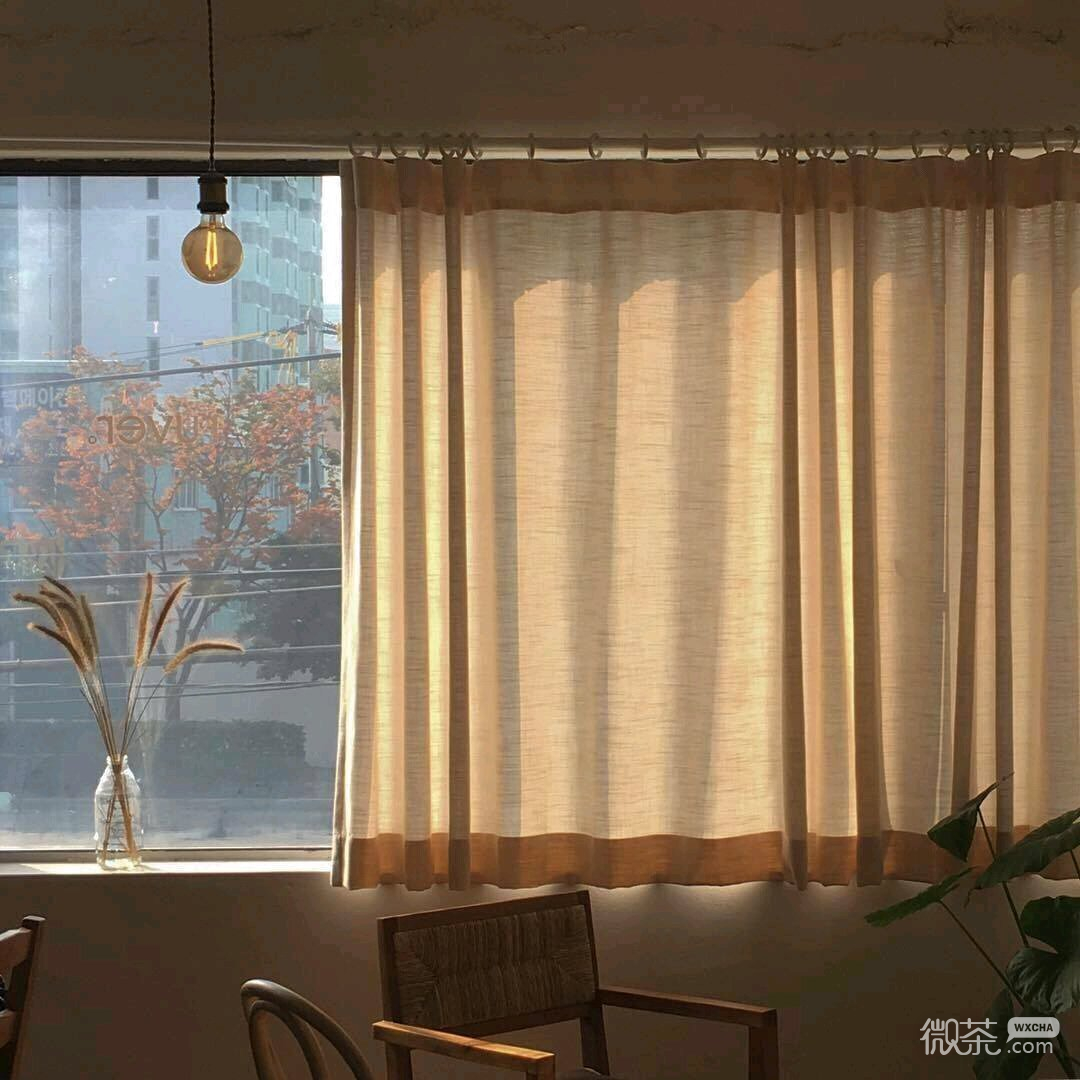 简洁静物朋友圈配图