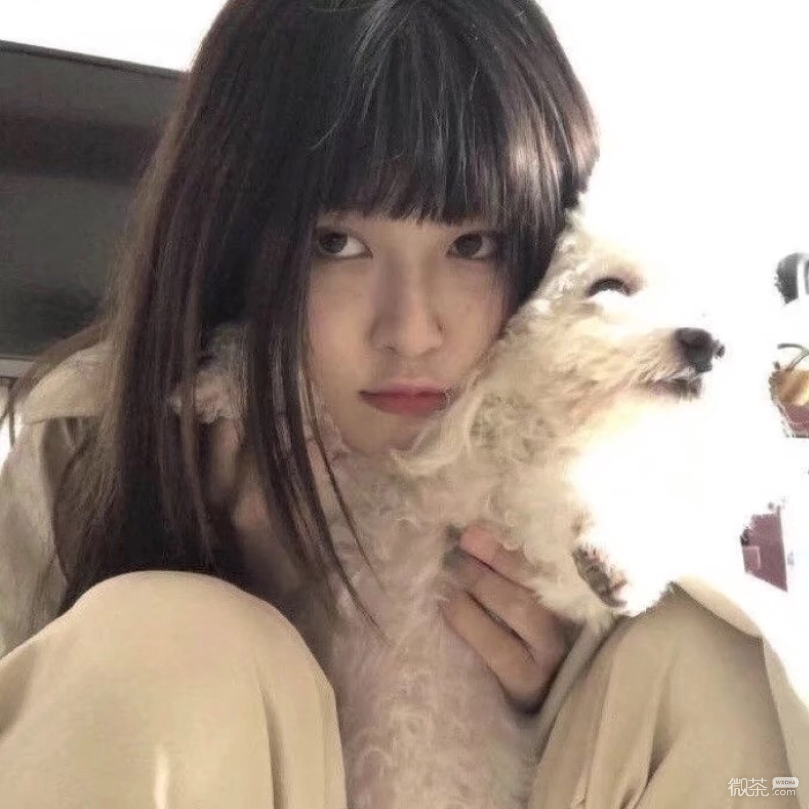 微信成熟自然长发女头