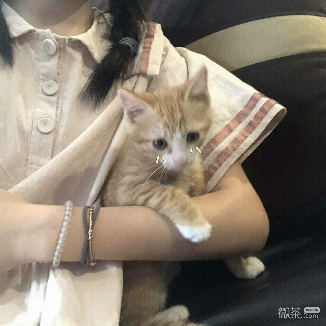 微信可爱青春文艺女头