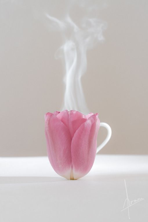 唯美意境的微信静物图片合集下载