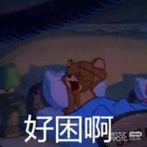 今日份的微信猫和老鼠沙雕表情包下载