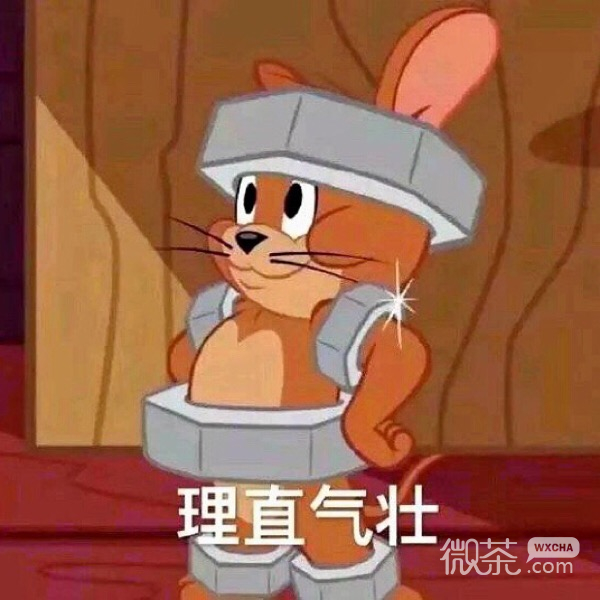 今日份的微信猫和老鼠沙雕表情包下载