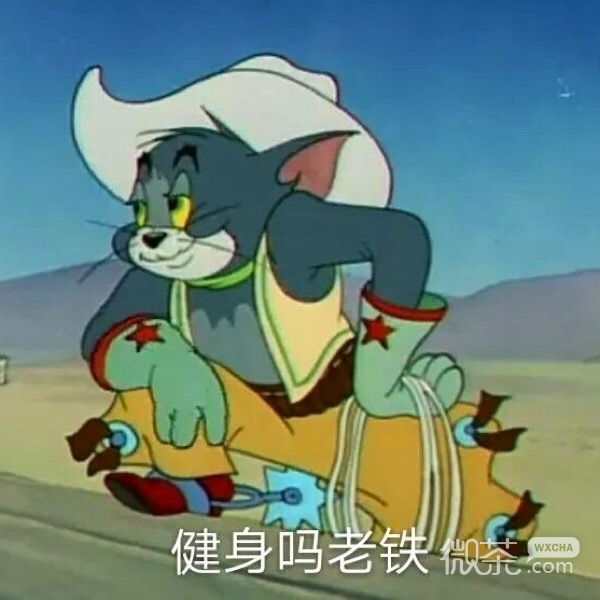 今日份的微信猫和老鼠沙雕表情包下载