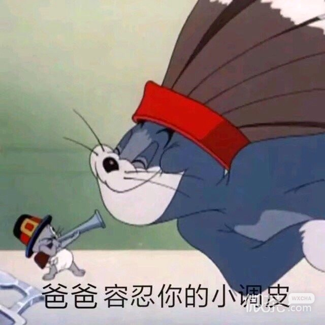今日份的微信猫和老鼠沙雕表情包下载
