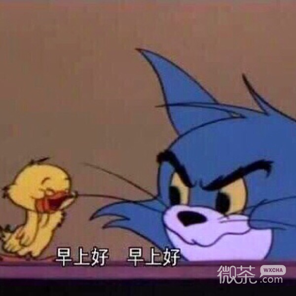 今日份的微信猫和老鼠沙雕表情包下载