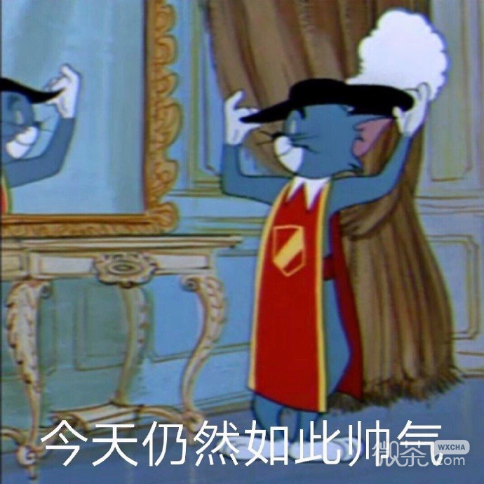 今日份的微信猫和老鼠沙雕表情包下载