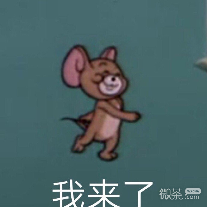 今日份的微信猫和老鼠沙雕表情包下载