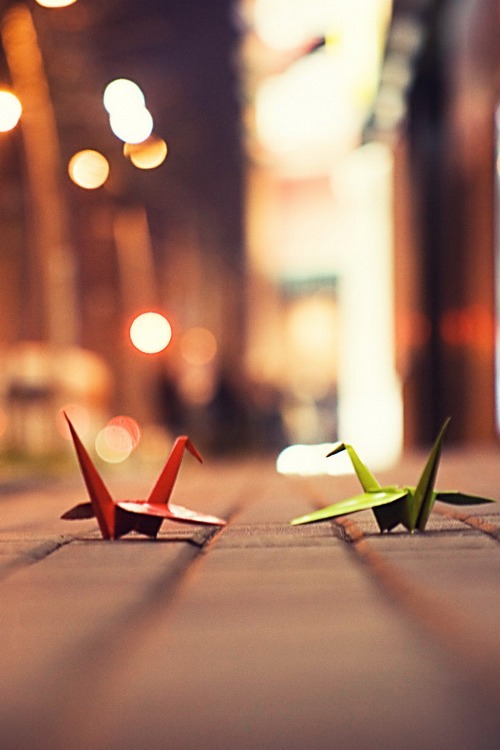 森系伤感小清新风格的微信静物图片下载