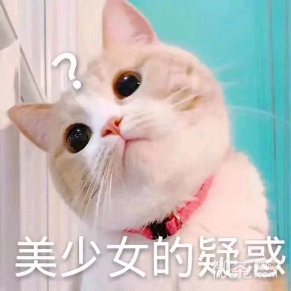 微信近期斗图恶搞表情包2019/10/16（二）