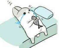 屌微信恶搞傻屌斗图表情包