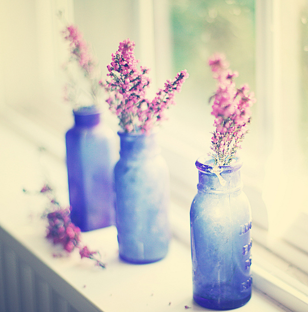 森系伤感小清新风格的微信静物图片下载