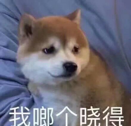 来了来了微信恶搞傻屌斗图表情包