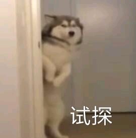 微信试探恶搞傻屌斗图表情包