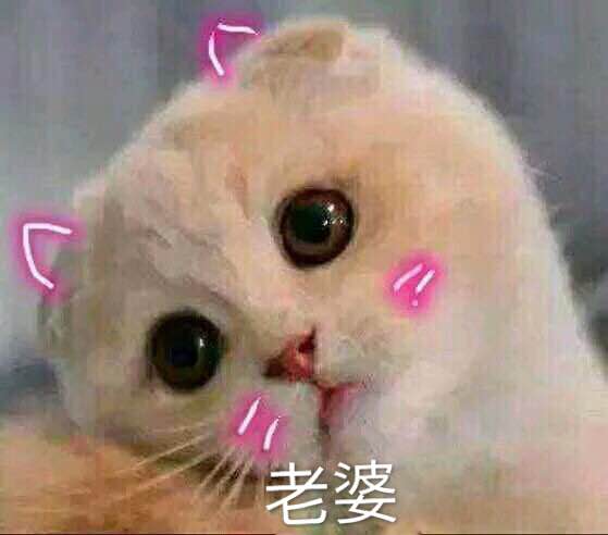 屌微信恶搞傻屌斗图表情包