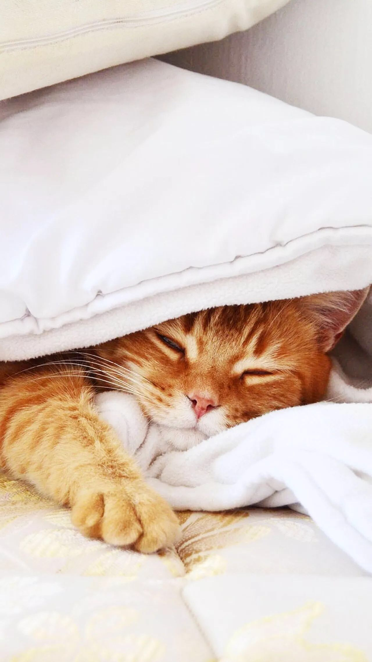 唯美海景手机壁纸