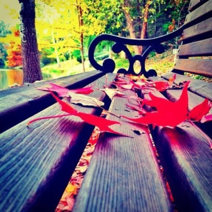 唯美伤感意境的微信女生图片下载