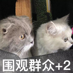 来了来了微信恶搞傻屌斗图表情包