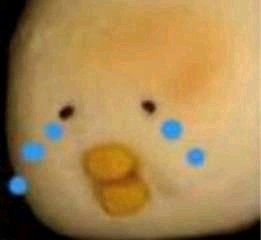 微信试探恶搞傻屌斗图表情包