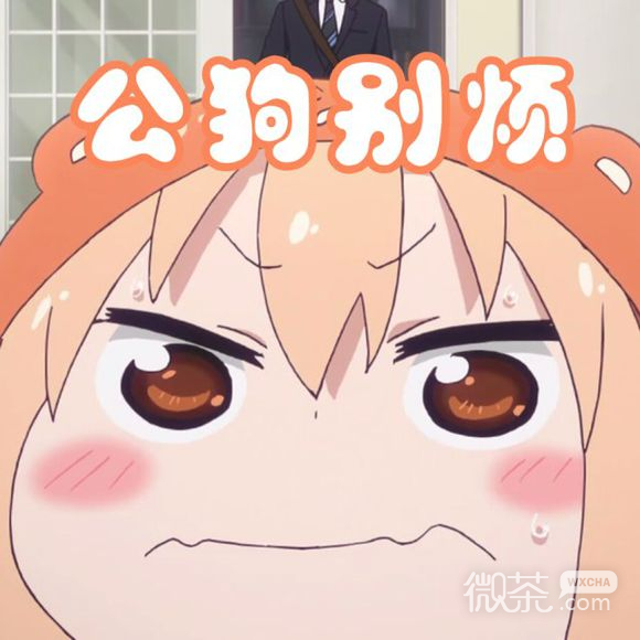 微信近期斗图恶搞表情包2019/10/16（二）