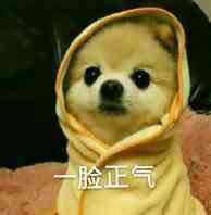 屌微信恶搞傻屌斗图表情包