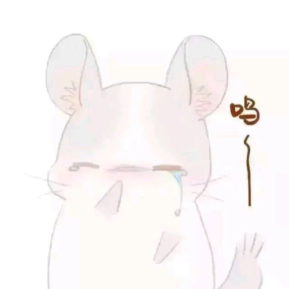 屌微信恶搞傻屌斗图表情包