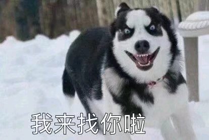 微信近期斗图恶搞表情包2019/10/16(二)