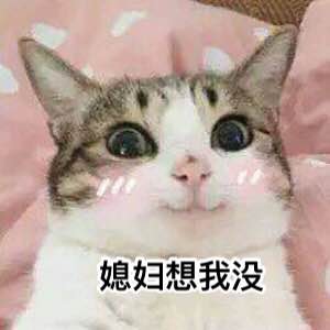 屌微信恶搞傻屌斗图表情包