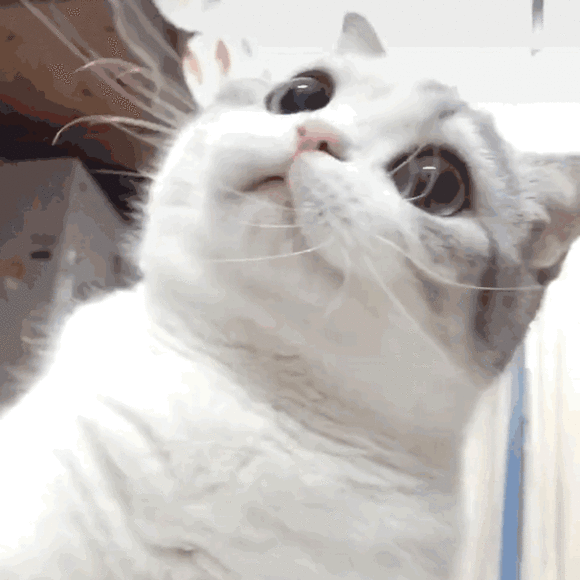 微信近期斗图恶搞表情包2019/10/16(二)