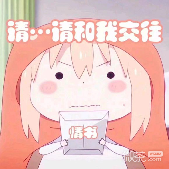 微信近期斗图恶搞表情包2019/10/16（二）