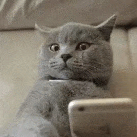 微信试探恶搞傻屌斗图表情包