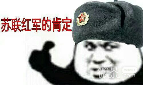 老爸的肯定微信恶搞傻屌斗图表情包