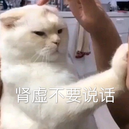 微信近期斗图恶搞表情包2019/10/17（二）