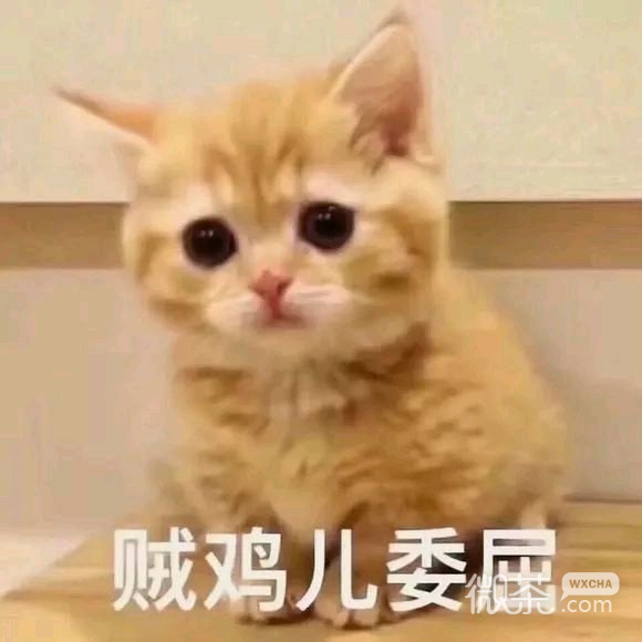 叫爸爸微信恶搞傻屌群聊杂图表情包