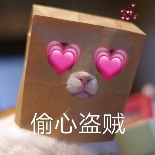 微信近期斗图恶搞表情包2019/10/17(二)